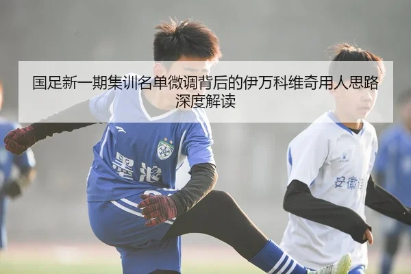 国足新一期集训名单微调背后的伊万科维奇用人思路深度解读